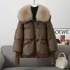 2026 Novo Casaco Curto de Algodão Acolchoado Estilo Coreano Inverno Solto Moda com Gola de Pele Jaqueta de Algodão com Penas