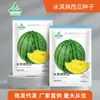 Fabricante Original Atacado Sementes de Melancia Açúcar de Pedra Kirin 8424 Mel Melão Pequeno Preguiçoso Rei Sementes de Pele Preta