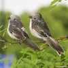 Pájaro de Plumas de Simulación Estilo Bosque de Jardín Decoración Floral Pájaro Pequeño Espuma Plumas Reales Productos Pájaro Falso Gorrión Simulación Pájaro Pequeño