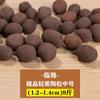 Ladrillos de Coco para Dropshipping, Tierra Nutritiva para Cultivar Verduras, Trozos Grandes de Fibra de Coco y Cultivo de Flores, Tierra de Coco de Uso General, Productos para el Cuidado de la Salud para Plantar, Cáscaras de Coco Gruesas