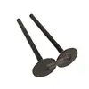 Adecuado para Accesorios del Motor Cummins B3.3 Qsb3.3 Válvula de Admisión 6207414130 4982907