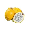 Entrega Mayorista de Frutas de Nido de Pájaro de Hainan 1/2/3/ 2.5kg Piel Amarilla Fina Alta Dulzura Caja de Regalo Empaque Colorido Caja Completa Fruta Fresca