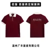 Uniformes Escolares, Personalização em Lote de Emblemas Escolares, Uniformes Escolares Públicos do Ensino Fundamental e Médio, Camisetas Polo de Manga Curta, Feitas Sob Medida de Acordo com Seus Designs, Fornecimento Direto da Fábrica