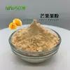 Polvo de Fruta de Mango Polvo de Mango Fabricante de Sc de Mango Tianxingjian Biotech
