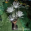 Avatar Árvore de Crisântemo Iluminada Escultura Luminosa Grande Iluminação de Cena Noturna Cena Avatar Misteriosa e Fantástica Sonhadora