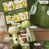 Regalos para el Día del Maestro para Maestros, Madres y Clientes; Cajas de Regalo Prácticas y Significativas; Recuerdos de Cumpleaños