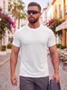 Camiseta Deportiva de Manga Corta para Hombre con Diseño Estampado, Ajuste Delgado, Patrón de Panal, Absorción de Sudor, Sensación de Hielo, Alta Elasticidad, Secado Rápido, Transpirable, Estilo Americano de Verano