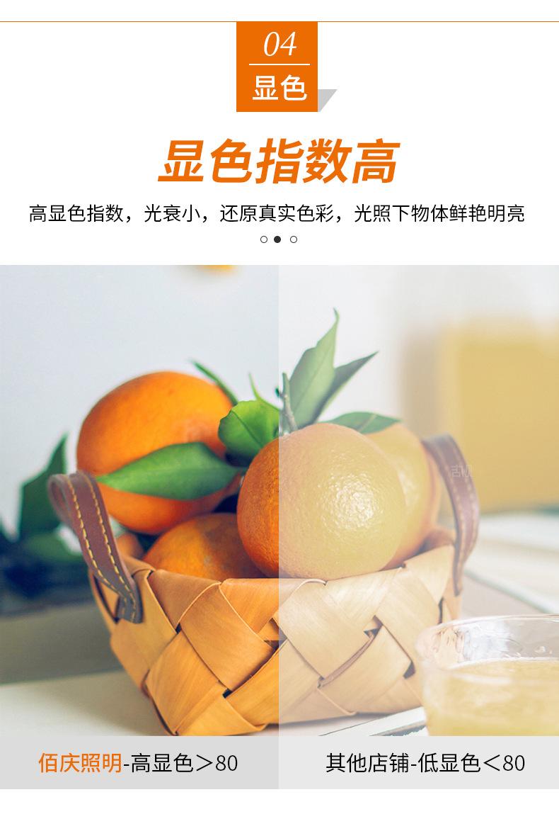白光12V_08.jpg