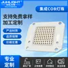 Alta Eficiencia Lumínica Cob Perlas de Luz Integradas 4046Cob Luz Roja y Azul Parche LED Belleza Médica Perlas de Luz de Alto Brillo Sin Controlador
