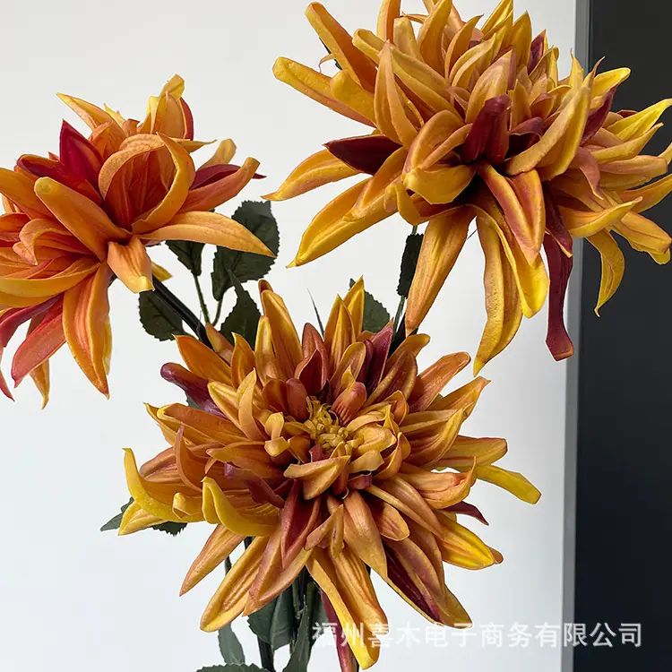 photo-output_0 4.JPG
