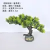 Pin Verde Acogedor Planta Pequeño Adorno Paisajismo Sala de Estar Oficina Interior Escritorio Hotel Decoración Plástico Pino Falso