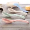 Cuchara Pequeña de Paja de Trigo para Niños y Adultos, Creativa, Linda, Anticaídas y Antiescaldado, Cuchara para Comer en Casa, Cuchara para Sopa, Alimentación, Cuchara para Gachas