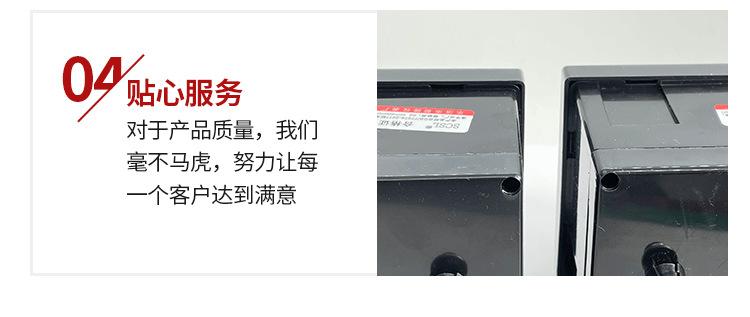 乐清市蜀隆仪表厂xq_08