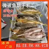 [profissional] Secador de Peixe Marinho Lula Lambari Secagem Desidratação Equipamento de Assar Micro-ondas Algas Secagem Congelado