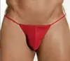 Aliexpress Amazon Masculino Vários Multicor Brinquedos Sexuais Roupa Íntima Transparente Peça Única Tanga em Formato de Pênis em V
