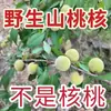 Cabeza de León Fresca acompañada de Nueces Wenwan de Piel Verde, apuesta por una alta tasa de piel verde de tres filos, envía artesano con patrón de cáscara de nuez de sombrero oficial