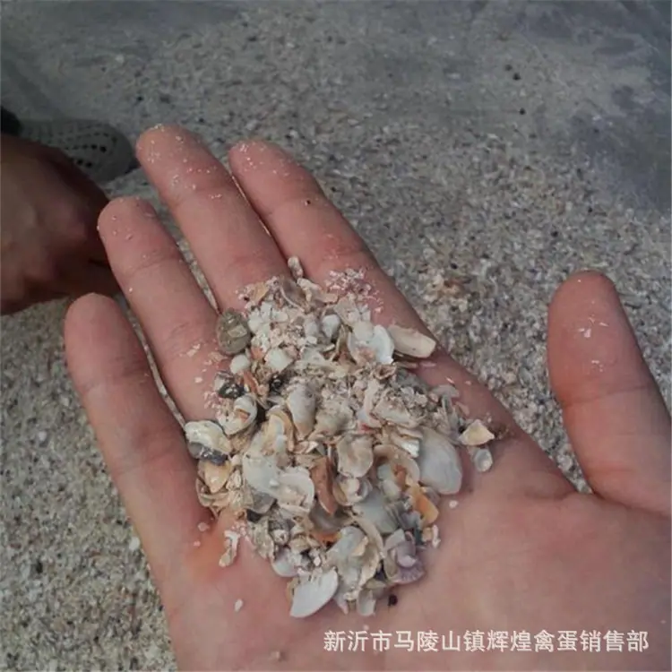 666