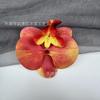 Pinza para el pelo de una sola cabeza con simulación de Phalaenopsis 3D, estilo europeo, con forma de mariposa y flor, accesorios para el pelo, tocado DIY, pinza de pico de pato, pinza lateral