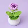 Planta en Maceta Mini Rosa Tejida de Lana Hecha a Mano Transfronteriza Adornos Tejidos para Escritorio de Coche Regalos para Niñas