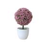 Planta de simulación de bola de nieve de cereza, bola de hierba en maceta, bonsái, árbol pequeño, decoración del hogar, decoración de flores, mini bola creativa