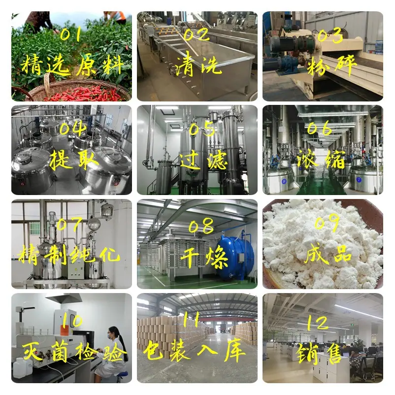 扭刺仙人掌茎提取物 原料 现货包邮 展迅供应 化妆品原料