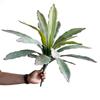 Fábrica loja simulação vaso planta atacado borracha macia deserto tropical verde planta flecha lótus folha ninho samambaia decoração ornamentos
