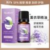 Óleo Essencial de Artemísia Massagem Spa Massagem Gua Sha Massagem Corporal Óleo Essencial Rosa Composto Óleo Essencial Fabricante Atacado