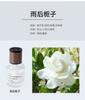 Perfume para carro Aromaterapia para carro Advanced Sense Time Fragrância Ornamentos Suprimentos para carro Frasco de aromaterapia para carro para remover odores
