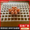 Bandeja de Huevos de Plástico Grueso de Venta Caliente Transfronteriza, Bandeja Grande de Plástico para 88 Huevos