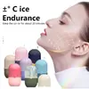 Gelo de Silicone para Rosto Massagem Facial Cuidados Faciais Redução de Poros Beleza Maquiagem Gelo Facial Gelo de Silicone para Rosto Massagem Facial Cubo de Gelo Facial