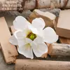 Manualidades de Cabeza de Flor de Magnolia de Tamaño Mediano, Flores Artificiales, Venta al por Mayor de Plantas Verdes Transfronterizas, Decoración de Bodas, Fabricante de Flores Artificiales, Estilo Ins