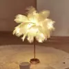Luz Noturna Romântica de Pena Luminária de Mesa Luz de Atmosfera de Fundo para Sala de Transmissão ao Vivo Salão de Beleza Decoração de Quarto Cena de Aniversário