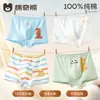 [100% Algodão] Roupa íntima masculina, cuecas boxer infantis 100% algodão grau A, projetadas para meninos em fase de desenvolvimento, com corte de quatro cantos que evita assaduras