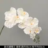 Flores de Orquídea Realistas de 38 pulgadas de Amazon para Fondos de Boda y Decoraciones Florales Orquídeas Artificiales