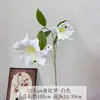 Flor artificial branca cor de leite flor de seda para casamento flor de teto macia para auditório de casamento material flor Phalaenopsis neve Rosa