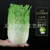 Venta al por mayor directa de fábrica de todo tipo de verduras de tacto de alta simulación PU verduras falsas PU simulación pepino col