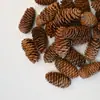 Pinhas de AbetoMateriais de Criação Ambiental Feitos à Mão para Jardim de Infância, Materiais com Tema Floresta, Galhos Secos, Pinhas, Flores Secas, Espécimes de Plantas