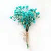 Amazon Transfronterizo Mini Ramo de Flores Secas Decoración de Regalo Navideño Souvenir de Flor Preservada Ramo Pequeño Fresco