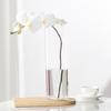 Jarrón de Vidrio Transparente Engrosado, Arreglo Floral de Cultivo en Agua Engrosado Decoración de Sala de Estar, Recipiente Hidropónico para Bambú de la Suerte, Cubo Grande para Despertar Flores