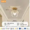 Luz de Pasillo de Lujo Ligero de Moda, Nuevo Creativo 2026 Hoja de Loto Luz de Techo LED Francesa para Entrada