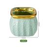 Maceta de Plástico Imitación Cerámica Estilo Nórdico Personalidad Creativa Borde Dorado Pothos Maceta para Suculentas Jarrón Retro Fabricante Venta al por Mayor