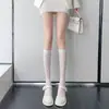 Nuevas Calcetines de Encaje Lolita con Moño para Bebés Niñas, Calcetines Blancos Finos Transpirables Hasta la Rodilla