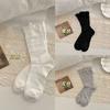 Calcetines Nuevos de Otoño para Mujer, Calcetines Finos, Simples y Hermosos, Combinados con Pantuflas Pequeñas, la Atmósfera es Increíble