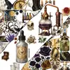 Compra directa transfronteriza [con certificación ce.cpc] 50 pegatinas decorativas creativas de setas de bosque vintage en estilo retro oscuro
