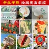 Leque de Papel Estilo Antigo Leque Redondo em Branco Papel Xuan Espesso Semiacabado Pintura Chinesa Caligrafia Criação Fábrica Atacadista Envio Rápido