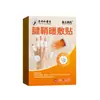 Ungüento para Vainas Tendinosas Parche Farmacéutico Tengtai para Dolor Muscular y Tendinoso, Dolor de Vainas Tendinosas, Ungüento para Masaje Muscular y Tendinoso, 20 Parches para Muñecas y Tobillos
