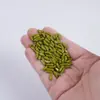 Grãos Simulados 1:1 100g Embalados Alimentos Simulados Tâmaras Vermelhas, Sementes de Lótus, Milho, Arroz, Amendoins e Modelos de Soja