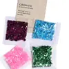 Fragmentos de Papel de Caramelo al por Mayor, Papel de Concha, Decoraciones para Uñas, Polvo de Purpurina, Accesorios para Slime de Resina DIY