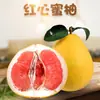Pomelo Miel de Pulpa Roja de Pinghe Guanxi, entrega directa 5/ 4.5 kg Caja de regalo de fruta grande, fruta fresca de temporada dulce y jugosa