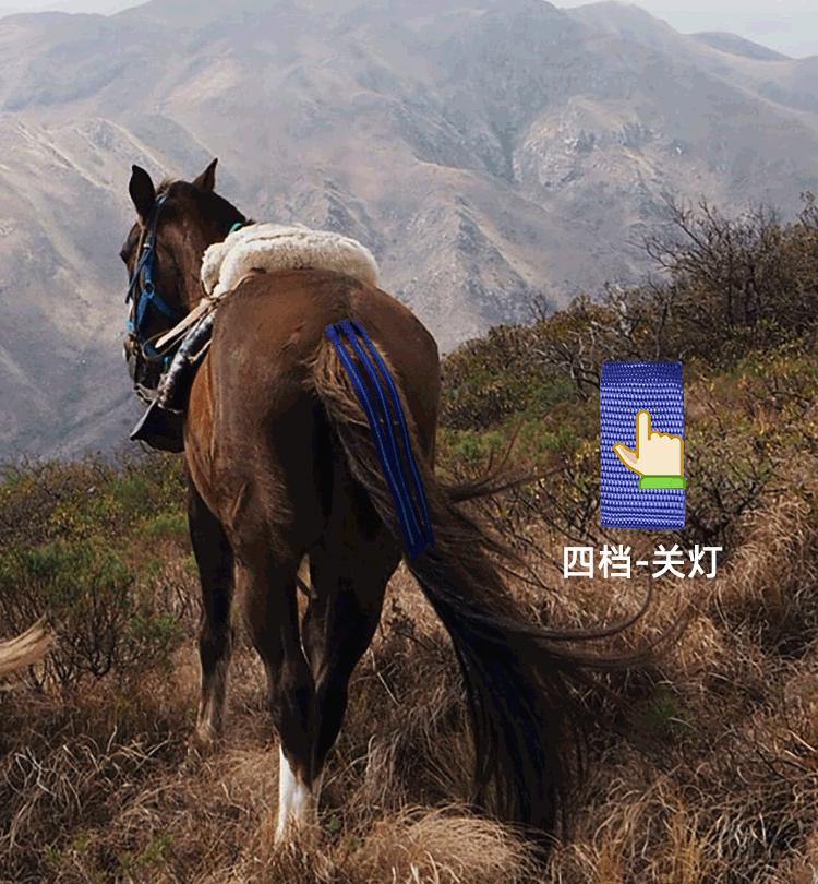 H1014-充电三织带马尾巴 (7-1).gif